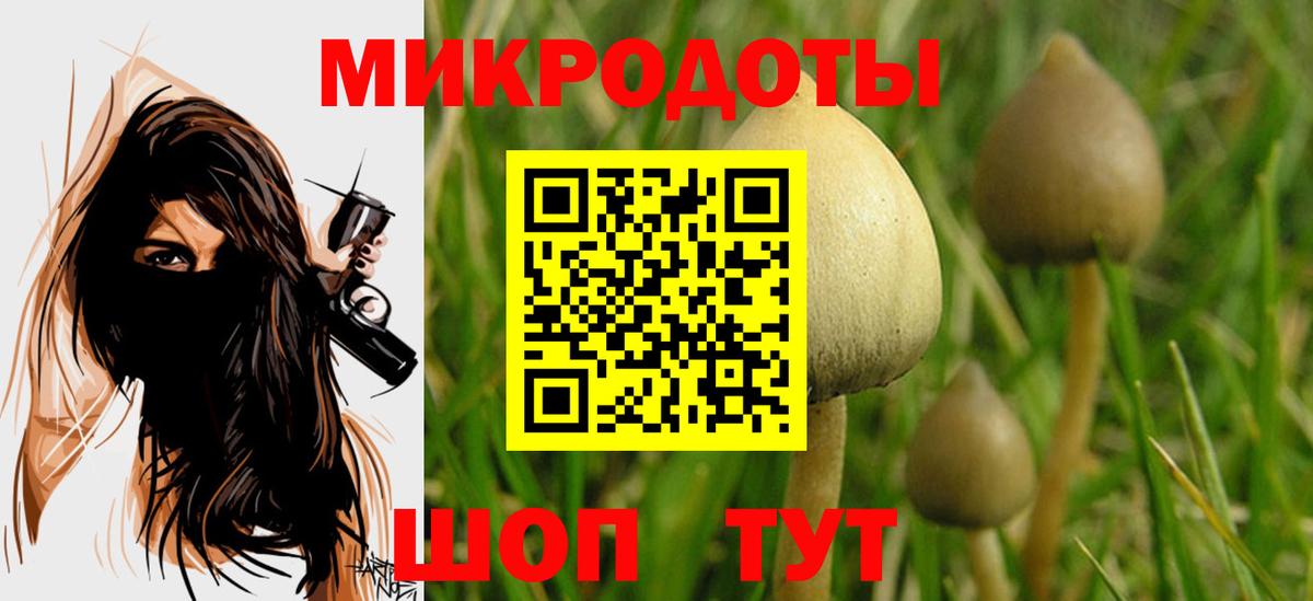 Галлюциногенные грибы мицелий Петрозаводск
