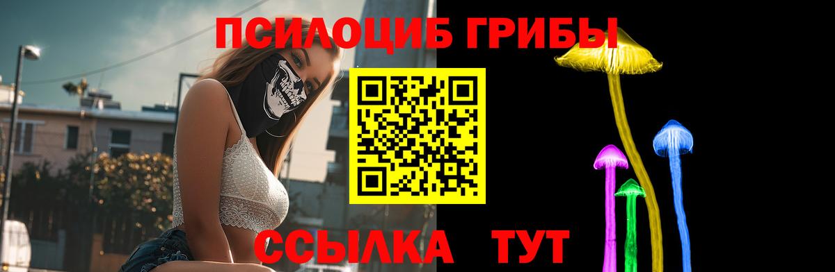 Галлюциногенные грибы MAGIC MUSHROOMS  Вход с VPN  Псилоцибиновые грибы Psilocybe  Петрозаводск 